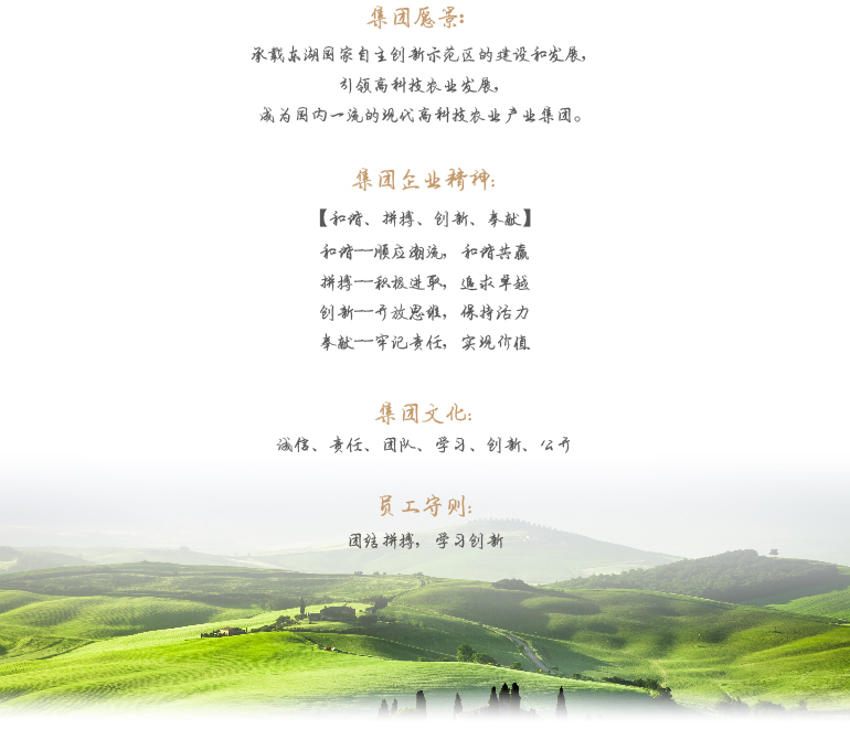 沙巴体育·(中国)官方网站 - APP下载