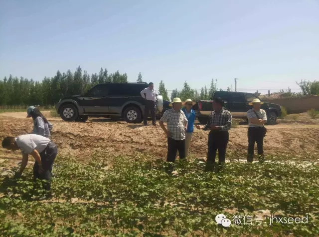 沙巴体育·(中国)官方网站 - APP下载